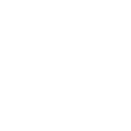 strapsicle logo